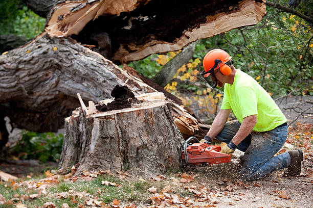 Mulching Services